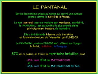 LE PANTANAL
   Est un écosystème unique au monde qui couvre une surface
             grande comme la moitié de la France.

  Le mot pantanal peut se traduire par marécage, en réalité,
      le PANTANAL est aujourd’hui la plus grande plaine
            périodiquement inondée, de la planète.

          Elle a été déclarée Réserve de la biosphère
      et Patrimoine Naturel de l’Humanité par l’UNESCO.

   Le PANTANAL, environ 220.000 km², s’étend sur 3 pays :
            le Brésil, la Bolivie, le Paraguay.


87% de ce bassin, se trouve en territoire brésilien, dont :
            -35% dans l’État du MATO GROSSO
             et
            -65% dans l’État du MATO GROSSO DO SUL.
 