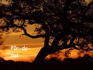 Pôr-do-Sol 