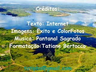 Créditos: Texto: Internet Imagens: Exito e ColorFotos Musica: Pantanal Sagrado Formatação:Tatiane Bertocco [email_address] 