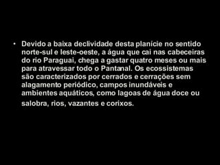 Devido a baixa declividade desta planície no sentido norte-sul e leste-oeste, a água que cai nas cabeceiras do rio Paraguai, chega a gastar quatro meses ou mais para atravessar todo o Pantanal. Os ecossistemas são caracterizados por cerrados e cerrações sem alagamento periódico, campos inundáveis e ambientes aquáticos, como lagoas de água doce ou salobra, rios, vazantes e corixos. . 