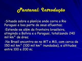 Bolívia
Pantanal

Paragua
i

O bioma do Pantanal foi
reconhecido em 2000 como
Reserva da Biosfera. Essas
reservas, declaradas pela
Unesco, são instrumentos de
gestão e manejo sustentável
integrados que permanecem
sob a jurisdição dos países nos
quais estão localizadas.

 