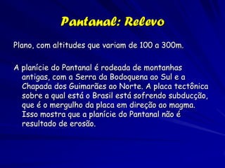 Caminho Rio Claro - Aquidauna

 