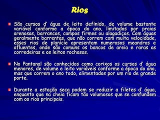 Levantamentos visuais de
pássaros no Pantanal –
transectos a pé

 