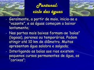 Pantanal: Relevo
Com o soerguimento da
Cordilheira dos Andes e do
Planalto Brasileiro surgiu, no
local, uma vasta depressão,
com início de sua formação a
mais de 60 milhões de anos;
Os sedimentos de regiões
adjacentes e mais elevadas
foram trazidos pelas águas e
espalhados, aterrando e
compactando lentamente a
depressão;

 