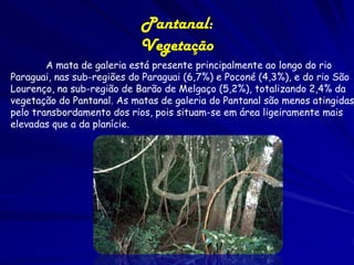 • A temperatura, usualmente alta, pode
baixar rapidamente (ficando as mínimas
próximas a 0ºC e as máximas a 40ºC) e até
haver ocorrências de geadas. As médias
anuais registradas no verão chuvoso e
inverno seco são em torno de 32ºC e 21ºC
respectivamente, com mínimas 15ºC e
máxima 34ºC.

 