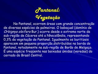Pantanal: as enchentes
-Durante as enchentes, quando os rios estão
mais volumosos, a grande maioria dos peixes
se reproduz e muitas plantas aquáticas têm
sua fase de floração. Nas baías temporárias,
ressurge a fauna e a flora;
- Na vazante, grande quantidade de
sedimentos, nutrientes e material orgânico
em decomposição são arrastados e
depositados nos solos, o que contribui para
formação dos solos e sua fertilização;

 