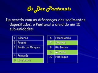 Pantanal: as enchentes

As cheias chegam a cobrir 2/3 da área
pantaneira;

 