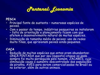 O PANTANAL – sub-regiões

 