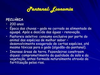 Os Onze Pantanais
De acordo com as
diferenças dos
sedimentos
depositados, o
Pantanal é dividido
em 11 sub-unidades:

1

Cáceres

2

Poconé

3

Barão de Melgaço

4

Paiaguás

5

Aquiduana

6

Nhecolândia

7

Abobral

8

Rio Negro

9

Miranda

10

Nabileque

11

Porto Murtinho

 