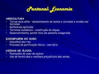 Os Onze pantanais
Porcentagem em área dos dez diferentes tipos de
pantanais.
Nº PANTANAIS

ÁREA EM %

1.

CÁCERES

11,9%

2.

POCONÉ

12,9%

3.

BARÃO DE MELGAÇO

13,3%

4.

PARAGUAI

5,3%

5.

PAIAGUÁS

18,3%

6.

NHECOLÂNDIA

17,8%

7.

ABOBRAL

1,6%

8.

AQUIDAUANA

4,9%

9.

MIRANDA

4,6%

10. NABILEQUE

9,4%

11. PORTO MURTINHO

2,8%

 
