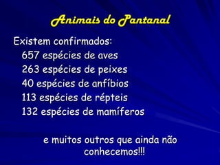 O PANTANAL – biodiversidade
3.500 espécies de plantas
325 espécies de peixes
476 espécies de aves (117 ameaçadas) *
124 espécies de mamíferos (10 ameaçadas)*
177 espécies de répteis
41 espécies de anfíbios
* Nenhuma espécie endêmica

Cervo-do-Pantanal
Maior área inundável do planeta
Alta densidade de várias espécies de
vertebrados, algumas ameaçadas de extinção
Uma das 35 Grandes Regiões Naturais do
planeta (Wilderness)

Ariranha

 