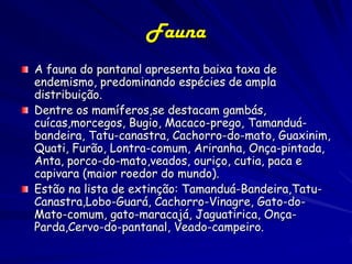 Pantanal:
Vegetação
O Cerrado é a formação mais representativa (36%)
da vegetação do Pantanal. Sua distribuição ocorre mais
intensamente no leste e centro da planície, sobre solos
arenosos, nas sub-regiões de Cáceres, Barão de Melgaço,
Nhecolândia, Aquidauana e Miranda. Na fisionomia
pantaneira, o cerradão ocupa áreas mais elevadas e o
cerrado sensu stricto, áreas mais baixas, tendendo para
campo à medida que aumenta o grau de inundação.

 
