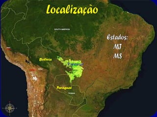 Pantanal: Economia

PESCA
• Principal fonte de sustento – numerosas espécies de
peixes. O Pantanal atrai cerca de 700 mil turistas por

ano, 65% dos quais são pescadores.

• Com o passar do tempo, indústrias pesqueiras se instalaram
– falta de orientação e planejamento fazem com que
afetem o desenvolvimento natural de muitas espécies.
• Diminuição do tamanho médio de peixes: uso de redes
muito finas, que aprisionam peixes ainda pequenos.

 