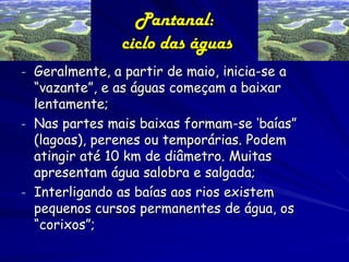 Pantanal: Relevo
Cortado por densa rede hidrográfica
“meandrante”, com formações de baías, corixos,
vazantes, etc;

Contra...