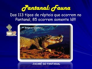 • Dentre os répteis
do pantanal,
destacam-se
sinimbú, jacarédo-pantanal,
víbora e sucuris.

Dracaena paraguayensis

Eunect...