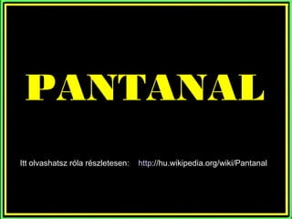 PANTANAL
Itt olvashatsz róla részletesen:   http://hu.wikipedia.org/wiki/Pantanal
 
