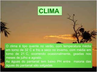 CLIMA
O clima é tipo quente no verão, com temperatura média
em torno de 32 C e frio e seco no inverno, com média em
torno de 21 C, ocorrendo ocasionalmente, geadas nos
meses de julho e agosto.
As águas do pantanal tem baixo PH entre maioria das
águas do pantanal são salgadas
 