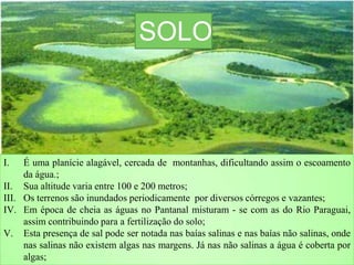 SOLO
I. É uma planície alagável, cercada de montanhas, dificultando assim o escoamento
da água.;
II. Sua altitude varia entre 100 e 200 metros;
III. Os terrenos são inundados periodicamente por diversos córregos e vazantes;
IV. Em época de cheia as águas no Pantanal misturam - se com as do Rio Paraguai,
assim contribuindo para a fertilização do solo;
V. Esta presença de sal pode ser notada nas baías salinas e nas baías não salinas, onde
nas salinas não existem algas nas margens. Já nas não salinas a água é coberta por
algas;
 