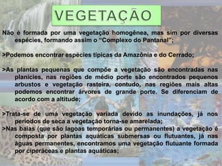 Não é formada por uma vegetação homogênea, mas sim por diversas
espécies, formando assim o “Complexo do Pantanal”;
>Podemos encontrar espécies típicas da Amazônia e do Cerrado;
>As plantas pequenas que compõe a vegetação são encontradas nas
planícies, nas regiões de médio porte são encontrados pequenos
arbustos e vegetação rasteira, contudo, nas regiões mais altas
podemos encontrar árvores de grande porte. Se diferenciam de
acordo com a altitude;
>Trata-se de uma vegetação variada devido as inundações, já nos
períodos de seca a vegetação torna-se amarelada;
>Nas baías (que são lagoas temporárias ou permanentes) a vegetação é
composta por plantas aquáticas submersas ou flutuantes, já nas
águas permanentes, encontramos uma vegetação flutuante formada
por ciperáceas e plantas aquáticas;
 