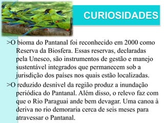 CURIOSIDADES
>O bioma do Pantanal foi reconhecido em 2000 como
Reserva da Biosfera. Essas reservas, declaradas
pela Unesco, são instrumentos de gestão e manejo
sustentável integrados que permanecem sob a
jurisdição dos países nos quais estão localizadas.
>O reduzido desnível da região produz a inundação
periódica do Pantanal. Além disso, o relevo faz com
que o Rio Paraguai ande bem devagar. Uma canoa à
deriva no rio demoraria cerca de seis meses para
atravessar o Pantanal.
 