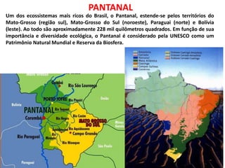 Um dos ecossistemas mais ricos do Brasil, o Pantanal, estende-se pelos territórios do
Mato-Grosso (região sul), Mato-Grosso do Sul (noroeste), Paraguai (norte) e Bolívia
(leste). Ao todo são aproximadamente 228 mil quilômetros quadrados. Em função de sua
importância e diversidade ecológica, o Pantanal é considerado pela UNESCO como um
Patrimônio Natural Mundial e Reserva da Biosfera.
PANTANAL
 