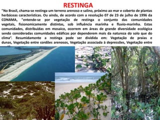 "No Brasil, chama-se restinga um terreno arenoso e salino, próximo ao mar e coberto de plantas
herbáceas características. Ou ainda, de acordo com a resolução 07 de 23 de julho de 1996 da
CONAMA, "entende-se por vegetação de restinga o conjunto das comunidades
vegetais, fisionomicamente distintas, sob influência marinha e fluvio-marinha. Estas
comunidades, distribuídas em mosaico, ocorrem em áreas de grande diversidade ecológica
sendo consideradas comunidades edáficas por dependerem mais da natureza do solo que do
clima“. Resumidamente a restinga pode ser dividida em: Vegetação de praias e
dunas, Vegetação entre cordões arenosos, Vegetação associada à depressões, Vegetação entre
cordões arenosos.
RESTINGA
 