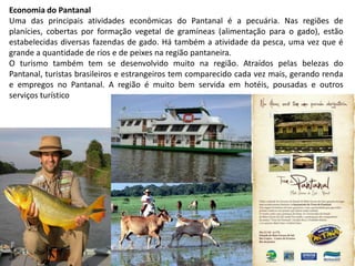 Economia do Pantanal
Uma das principais atividades econômicas do Pantanal é a pecuária. Nas regiões de
planícies, cobertas por formação vegetal de gramíneas (alimentação para o gado), estão
estabelecidas diversas fazendas de gado. Há também a atividade da pesca, uma vez que é
grande a quantidade de rios e de peixes na região pantaneira.
O turismo também tem se desenvolvido muito na região. Atraídos pelas belezas do
Pantanal, turistas brasileiros e estrangeiros tem comparecido cada vez mais, gerando renda
e empregos no Pantanal. A região é muito bem servida em hotéis, pousadas e outros
serviços turístico
 