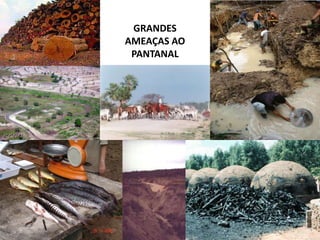 GRANDES
AMEAÇAS AO
PANTANAL
 