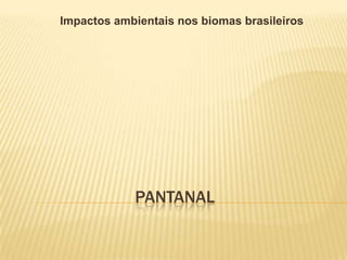 Impactos ambientais nos biomas brasileiros

PANTANAL

 