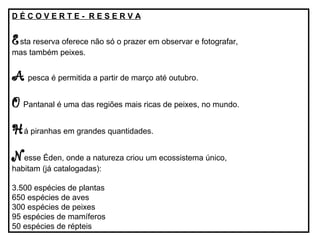 DÉCOVERTE- RESERVA

E sta reserva oferece não só o prazer em observar e fotografar,
mas também peixes.

A pesca é permitida a partir de março até outubro.
O Pantanal é uma das regiões mais ricas de peixes, no mundo.
H á piranhas em grandes quantidades.
N esse Éden, onde a natureza criou um ecossistema único,
habitam (já catalogadas):

3.500 espécies de plantas
650 espécies de aves
300 espécies de peixes
95 espécies de mamíferos
50 espécies de répteis

 