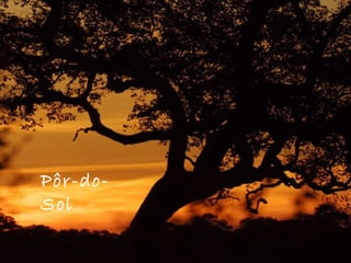 Pôr-do-
Sol
 