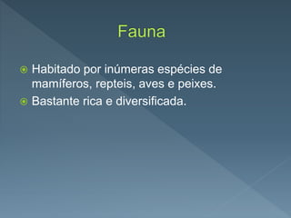  Habitado por inúmeras espécies de
mamíferos, repteis, aves e peixes.
 Bastante rica e diversificada.
 