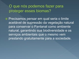  Precisamos pensar em qual seria o limite
aceitável de supressão da vegetação natural
para conservar o Pantanal como ambiente
natural, garantindo sua biodiversidade e os
serviços ambientais que o mesmo vem
prestando gratuitamente para a sociedade.
 