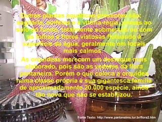 Outras plantas aquáticas presentes são: sagitária, ninféias e a vitória-régia, presas ao solo do fundo, totalmente submersas ou com as folhas e flores vistosas flutuando à superfície da água, geralmente em locais mais calmos.  As orquídeas merecem um destaque mais elaborado, pois são as vedetes da flora pantaneira. Porém o que coloca a orquídea numa classe própria é sua gigantesca família de aproximadamente 20.000 espécie, ainda tão nova que não se estabilizou. Fonte Texto: http://www.pantanalms.tur.br/flora2.htm 