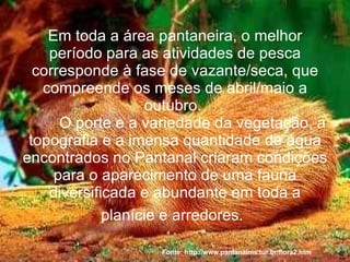Em toda a área pantaneira, o melhor período para as atividades de pesca corresponde à fase de vazante/seca, que compreende os meses de abril/maio a outubro.  O porte e a variedade da vegetação, a topografia e a imensa quantidade de água encontrados no Pantanal criaram condições para o aparecimento de uma fauna diversificada e abundante em toda a planície e arredores.   Fonte: http://www.pantanalms.tur.br/flora2.htm 