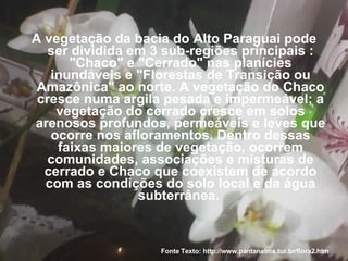 A vegetação da bacia do Alto Paraguai pode ser dividida em 3 sub-regiões principais : "Chaco" e "Cerrado" nas planícies inundáveis e "Florestas de Transição ou Amazônica" ao norte. A vegetação do Chaco cresce numa argila pesada e impermeável; a vegetação do cerrado cresce em solos arenosos profundos, permeáveis e leves que ocorre nos afloramentos. Dentro dessas faixas maiores de vegetação, ocorrem comunidades, associações e misturas de cerrado e Chaco que coexistem de acordo com as condições do solo local e da água subterrânea.  Fonte Texto: http://www.pantanalms.tur.br/flora2.htm 