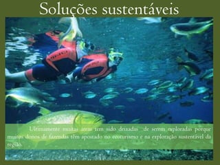 Soluções sustentáveis




        Ultimamente muitas áreas tem sido deixadas de serem exploradas porque
muitos donos de fazendas têm apostado no ecoturismo e na exploração sustentável da
região.
 