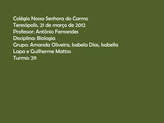 Colégio Nossa Senhora do Carmo
Teresópolis, 21 de março de 2012
Professor: Antônio Fernandes
Disciplina: Biologia
Grupo: Amanda Oliveira, Isabela Dias, Isabella
Lapa e Guilherme Mattos
Turma: 211
 