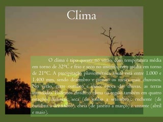 Clima


         O clima é tipo quente no verão, com temperatura média
em torno de 32°C e frio e seco no inverno, com média em torno
de 21°C. A precipitação pluviométrica anual está entre 1.000 e
1.400 mm, sendo dezembro e janeiro os meses mais chuvosos.
No verão, entre outubro e maio, época das chuvas, as terras
inundadas. Podemos dividir o clima na região também em quatro
estações distintas: seca (de junho a setembro), enchente (de
outubro a dezembro), cheia (de janeiro a março) e vazante (abril
e maio).
 