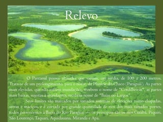 Relevo



          O Pantanal possui altitudes que variam, em média, de 100 a 200 metros.
Trata-se de um prolongamento, para o norte, da Planície do Chaco (Paraguai). As partes
mais elevadas, que não sofrem inundações, recebem o nome de "Cordilheiras", as partes
mais baixas, sujeitas à inundações, recebem nome de "Baías ou Largos“.
          Seus limites são marcados por variados sistemas de elevações como chapadas,
serras e maciços, e é cortada por grande quantidade de rios dos mais variados portes,
todos pertencentes à Bacia do Rio Paraguai — os principais são os rios Cuiabá, Piquiri,
São Lourenço, Taquari, Aquidauana, Miranda e Apa.
 