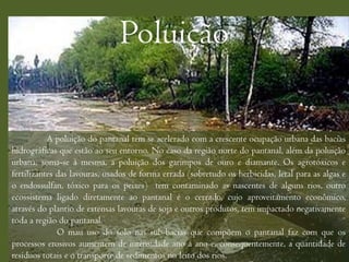 Poluição

           A poluição do pantanal tem se acelerado com a crescente ocupação urbana das bacias
hidrográficas que estão ao seu entorno. No caso da região norte do pantanal, além da poluição
urbana, soma-se à mesma, a poluição dos garimpos de ouro e diamante. Os agrotóxicos e
fertilizantes das lavouras, usados de forma errada (sobretudo os herbicidas, letal para as algas e
o endossulfan, tóxico para os peixes) tem contaminado as nascentes de alguns rios, outro
ecossistema ligado diretamente ao pantanal é o cerrado, cujo aproveitamento econômico,
através do plantio de extensas lavouras de soja e outros produtos, tem impactado negativamente
toda a região do pantanal.
              O mau uso do solo nas sub-bacias que compõem o pantanal faz com que os
processos erosivos aumentem de intensidade ano a ano e, consequentemente, a quantidade de
resíduos totais e o transporte de sedimentos no leito dos rios.
 