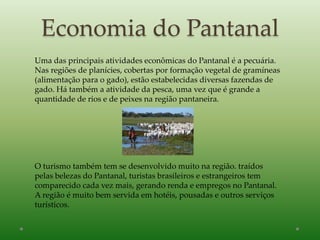 Uma das principais atividades econômicas do Pantanal é a pecuária.
Nas regiões de planícies, cobertas por formação vegetal de gramíneas
(alimentação para o gado), estão estabelecidas diversas fazendas de
gado. Há também a atividade da pesca, uma vez que é grande a
quantidade de rios e de peixes na região pantaneira.
O turismo também tem se desenvolvido muito na região. traídos
pelas belezas do Pantanal, turistas brasileiros e estrangeiros tem
comparecido cada vez mais, gerando renda e empregos no Pantanal.
A região é muito bem servida em hotéis, pousadas e outros serviços
turísticos.
Economia do Pantanal
 