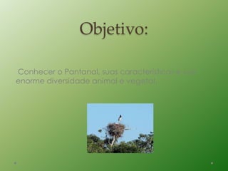 Objetivo:
Conhecer o Pantanal, suas características e sua
enorme diversidade animal e vegetal.
 