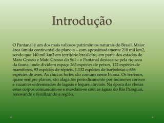 Introdução
O Pantanal é um dos mais valiosos patrimônios naturais do Brasil. Maior
área úmida continental do planeta – com aproximadamente 210 mil km2,
sendo que 140 mil km2 em território brasileiro, em parte dos estados de
Mato Grosso e Mato Grosso do Sul – o Pantanal destaca-se pela riqueza
da fauna, onde dividem espaço 263 espécies de peixes, 122 espécies de
mamíferos, 93 espécies de répteis, 1.132 espécies de borboletas e 656
espécies de aves. As chuvas fortes são comuns nesse bioma. Os terrenos,
quase sempre planos, são alagados periodicamente por inúmeros corixos
e vazantes entremeados de lagoas e leques aluviais. Na época das cheias
estes corpos comunicam-se e mesclam-se com as águas do Rio Paraguai,
renovando e fertilizando a região.
 