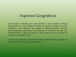 Aspectos Geográficos
O Pantanal é formado por uma planície e está situado na Bacia
Hidrográfica do Alto Paraguai. Recebe uma grande influência do Rio
Paraguai e seus afluentes, que alagam a região formando extensas
áreas alagadiças (pântanos) e favorecendo a existência de uma rica
biodiversidade. A época de chuvas e cheias dos rios ocorre durante os
meses de novembro a abril.
O clima do Pantanal é úmido (alto índice pluviométrico), quente no
verão e seco e frio na época do inverno.
 