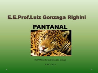 E.E.Prof.Luiz Gonzaga Righini
PANTANAL
Profª Maria Teresa Iannaco Grego
@ BIO- 2015
 