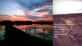 18
-Poluição por mercúrio
dos garimpos;
-A poluição por
compostos
agroindustriais
-etc...
 