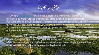 Definição
Um dos ecossistemas mais ricos do Brasil, o Pantanal, estende-se pelos
territórios do Mato-Grosso (região sul), Mato-Grosso do Sul (noroeste),
Paraguai (norte) e Bolívia (leste). Ao todo são aproximadamente 228 mil
quilômetros quadrados. Em função de sua importância e diversidade ecológica,
o Pantanal é considerado pela UNESCO como um Patrimônio Natural Mundial
e Reserva da Biosfera
O Pantanal é formado por uma planície e está situado na Bacia Hidrográfica
do Alto Paraguai. Recebe uma grande influência do Rio Paraguai e seus
afluentes, que alagam a região formando extensas áreas alagadiças (pântanos)
e favorecendo a existência de uma rica biodiversidade.
.
2
 