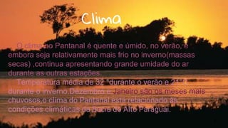 Clima
O clima no Pantanal é quente e úmido, no verão, e
embora seja relativamente mais frio no inverno(massas
secas) ,continua apresentando grande umidade do ar
durante as outras estações.
Temperatura média de 32 °durante o verão e 21°C
durante o inverno.Dezembro e Janeiro são os meses mais
chuvosos,o clima do Pantanal está relacionado às
condições climáticas da Bacia do Alto Paraguai.
4
 
