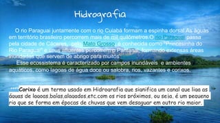 8
Hidrografia
O rio Paraguai juntamente com o rio Cuiabá formam a espinha dorsal.As águas
em território brasileiro percorrem mais de mil quilômetros.O rio Paraguai passa
pela cidade de Cáceres, pelo Mato Grosso, é conhecida como "Princesinha do
Rio Paraguai" e seus afluentes percorrem o Pantanal, formando extensas áreas
inundadas que servem de abrigo para muitos peixes.
Esse ecossistema é caracterizado por campos inundáveis e ambientes
aquáticos, como lagoas de água doce ou salobra, rios, vazantes e corixos.
****Corixo é um termo usado em Hidrografia que significa um canal que liga as
águas de lagoas,baías,alagados,etc.com os rios próximos, ou seja, é um pequeno
rio que se forma em épocas de chuvas que vem desaguar em outro rio maior.
 